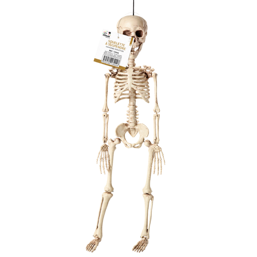 40 cm Hanging Skeleton – Halloween Decoration